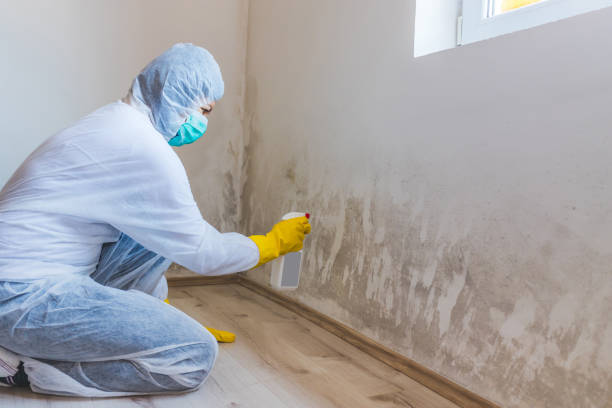 Licensed Commercial Mold Remediation service in North Andover, MA - WQB Mold Removal