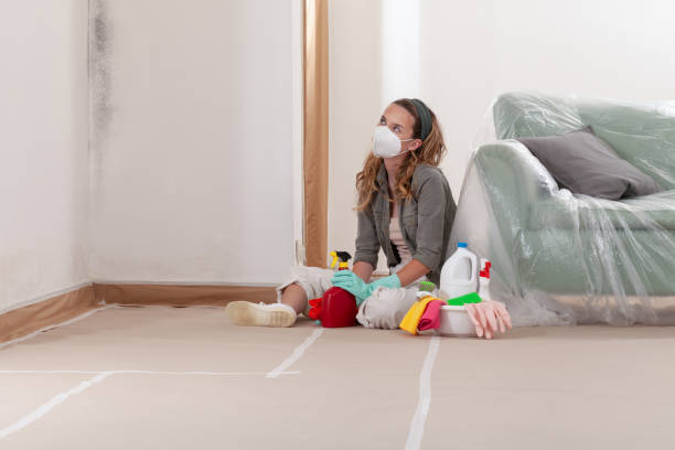 Reliable Commercial Mold Remediation contractor in North Andover, MA by WQB Mold Removal